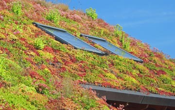 Achaphubuil living roof systems